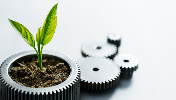 5 different sized cogwheels on blank background, 4 blurred out and the biggest closest one has soil and leaves growing out of it