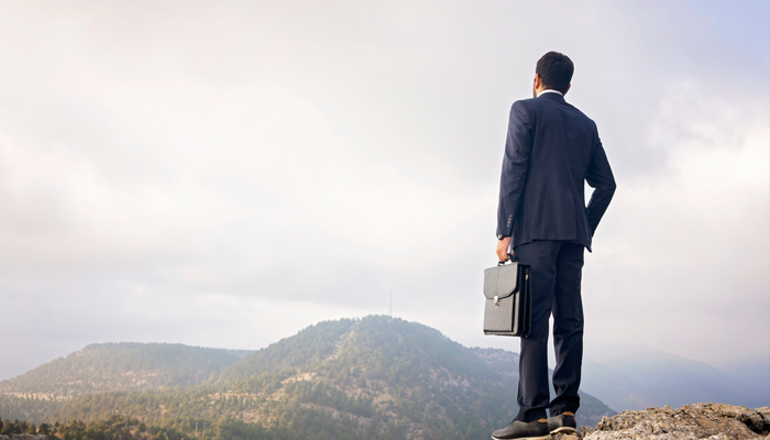 professional man in suit holding a briefcase standing on peak of a hill overlooking the canadian mountains