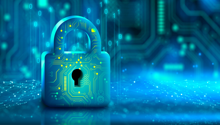a lock with digital reflections indicating security after a police record check